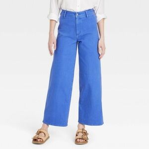 NWT Universal Thread Sailor Wide Leg Jeans